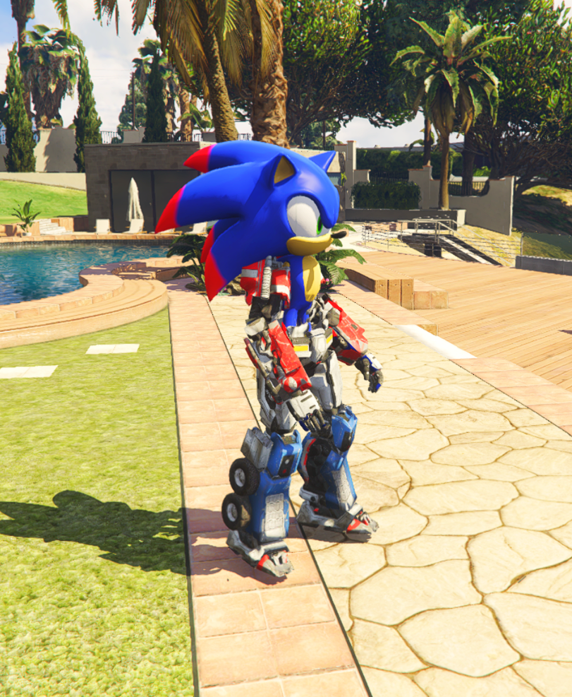Sonic Transformers 2