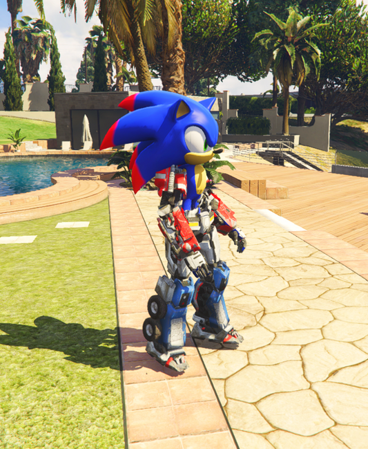 Sonic Transformers 2