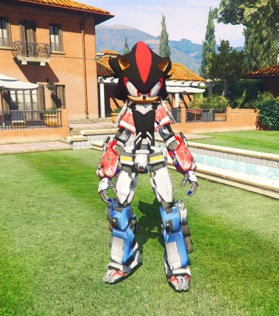 Shadow Transformer 1