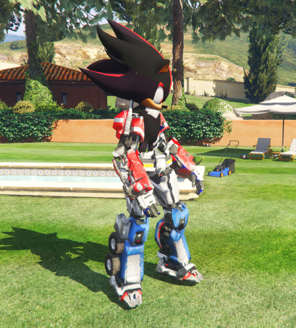 Shadow Transformer 1