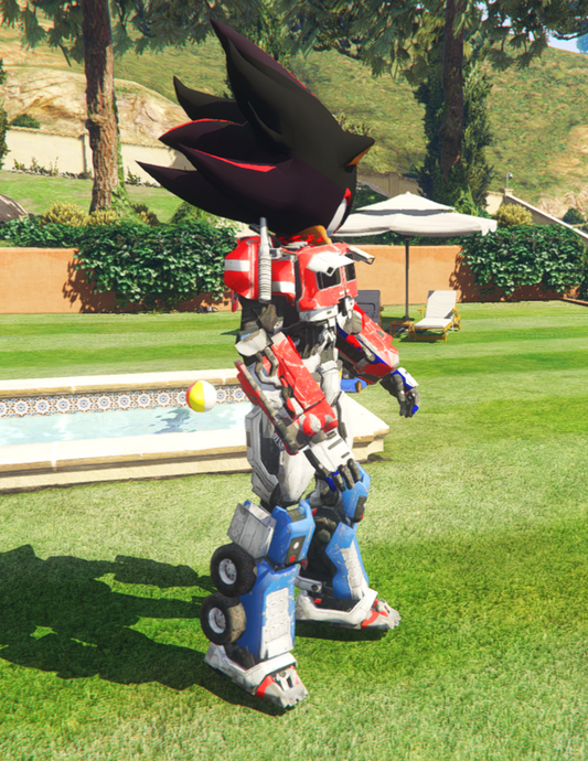 Shadow Transformer 2