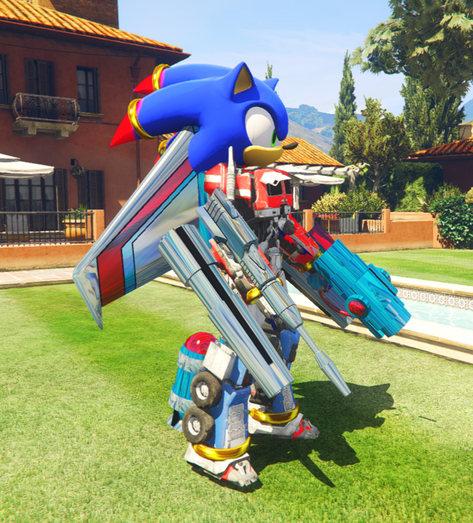 Sonic Transformers 5