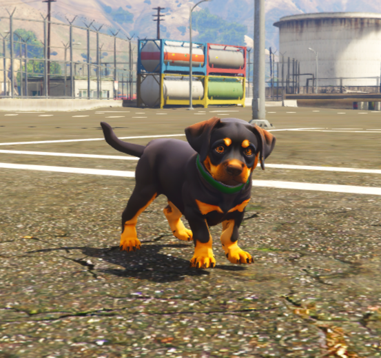 Chop Strong 1 (reemplace bulldog)