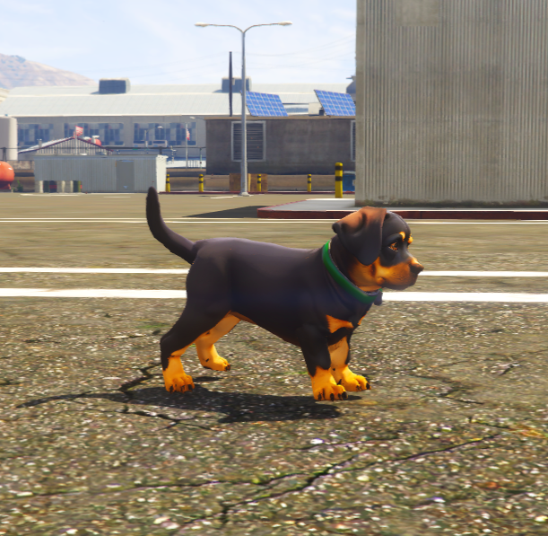 Chop Strong 1 (reemplace bulldog)