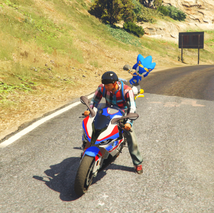 Sonic Bike 6