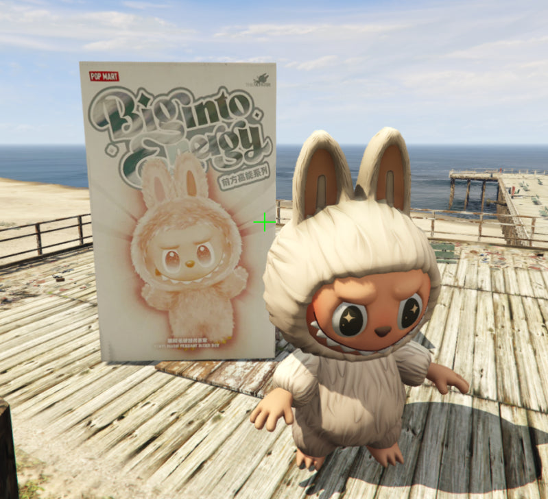 Labubu Box