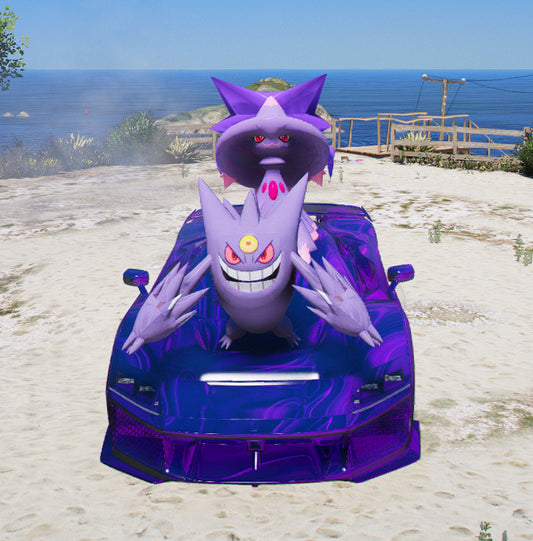 Pokemon Car 01