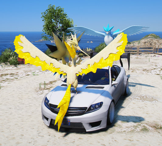 Pokemon Car 02