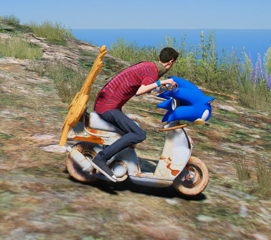 Sonic Bike 1