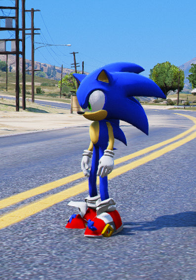 Sonic Shoes 1