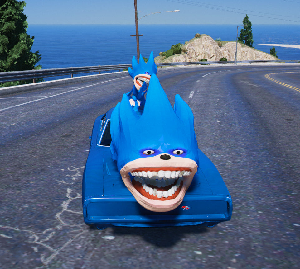 Shin Sonic car 03