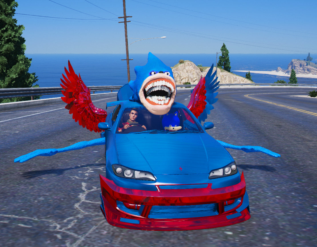 Shin Sonic car 06
