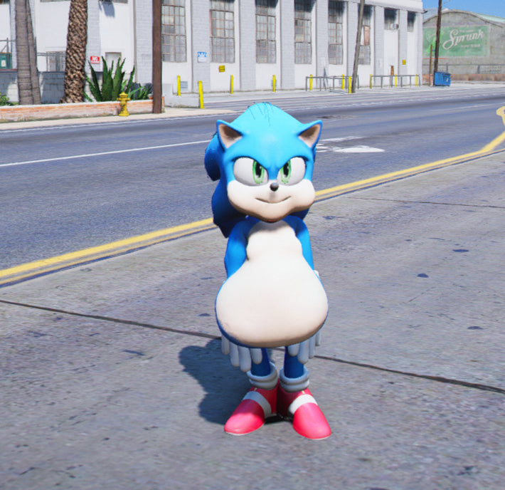 Sonic Fat 1