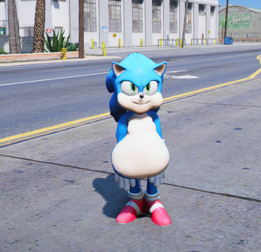 Sonic Fat 1