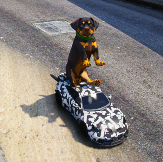 Chop Car 5