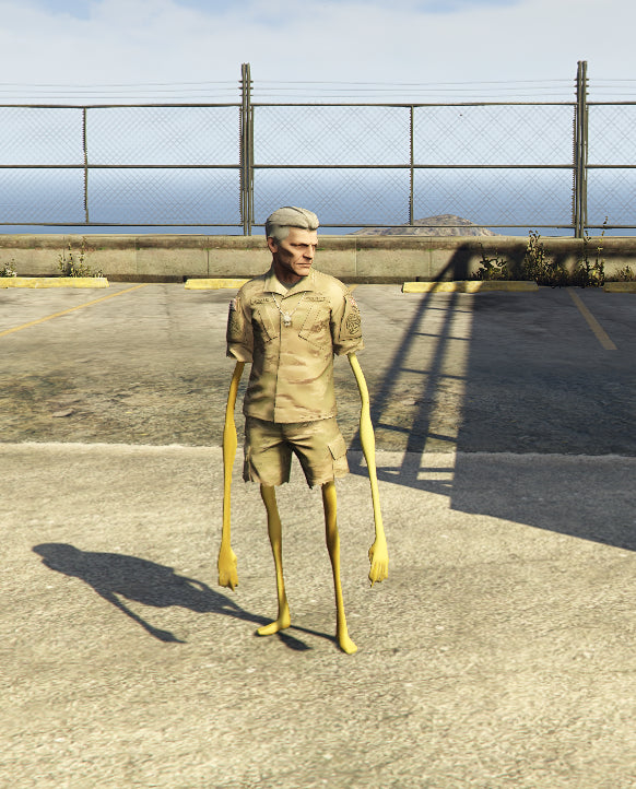Army Verity