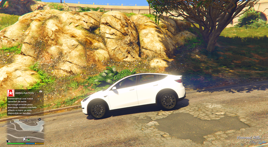 Telsa Car 9