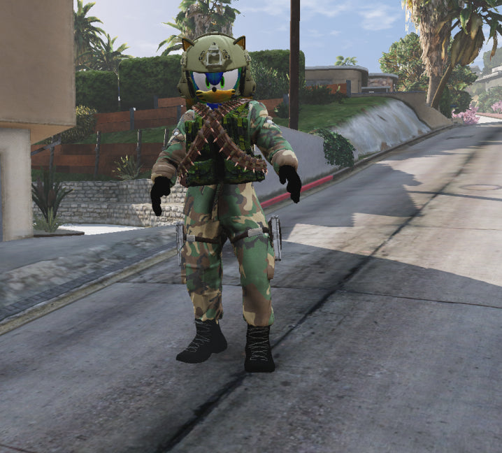 Sonic War 6