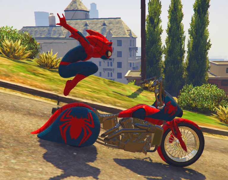 Sonic Spider 05