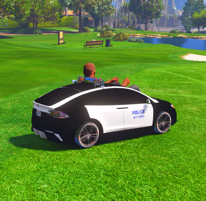 Tesla Cop 3