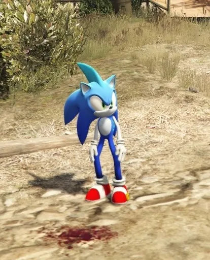 Sonic Shark 1