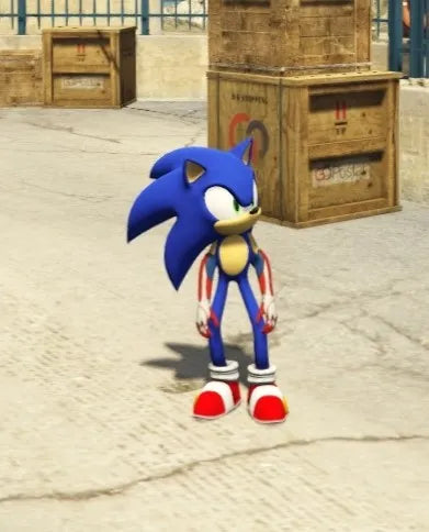 Sonic Spider 1
