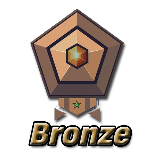 Bronze Membership