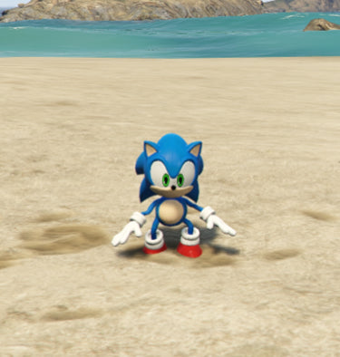Sonic Clean