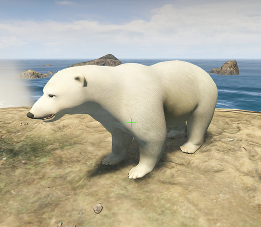 Polar Bear