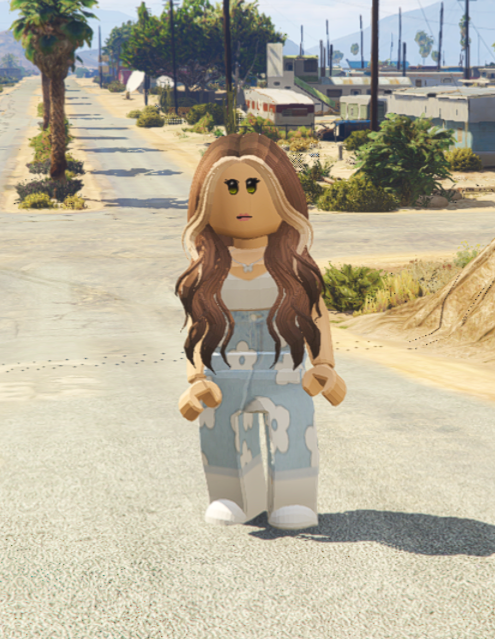 Roblox Player 5