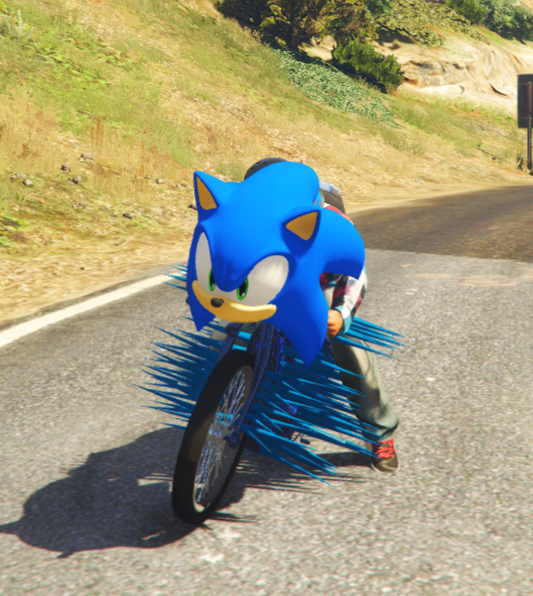 Sonic Bike 9