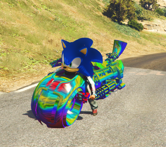 Sonic Bike 10