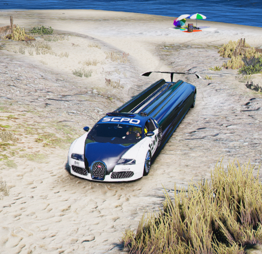 Long Police Car (lpg8)