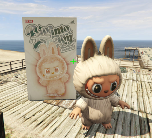 Labubu Box