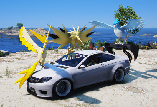 Pokemon Car 02