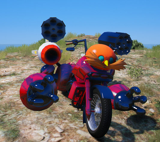 Sonic Bike 5