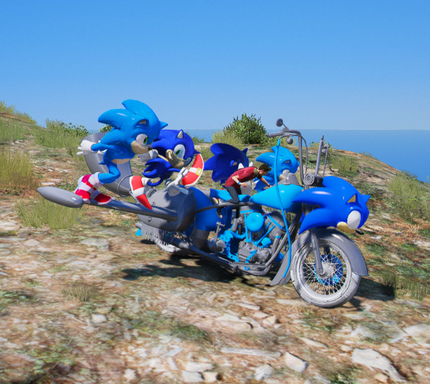 Sonic Bike 6