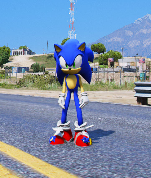 Sonic Shoes 1