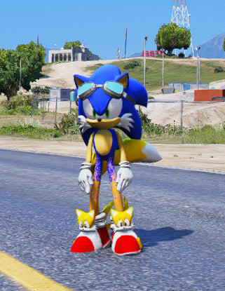 Sonic Shoes 2