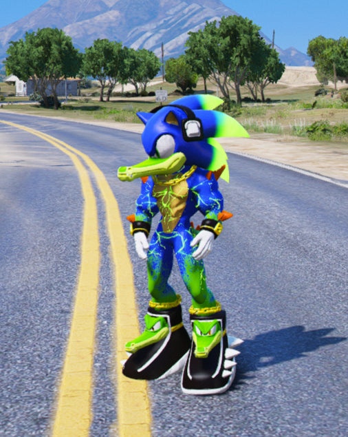 Sonic Shoes 6