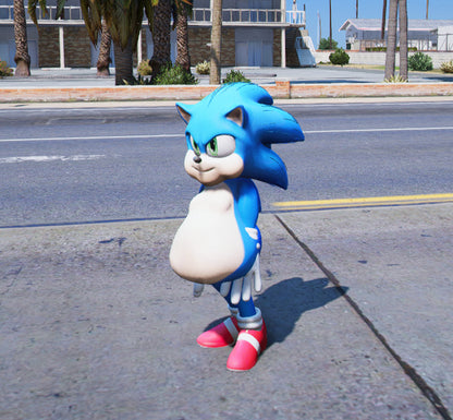 Sonic Fat 1
