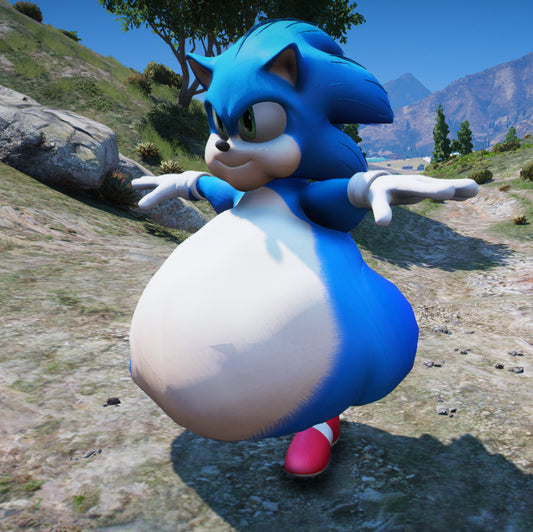 Sonic Fat 2
