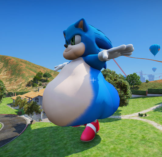 Sonic Fat 3