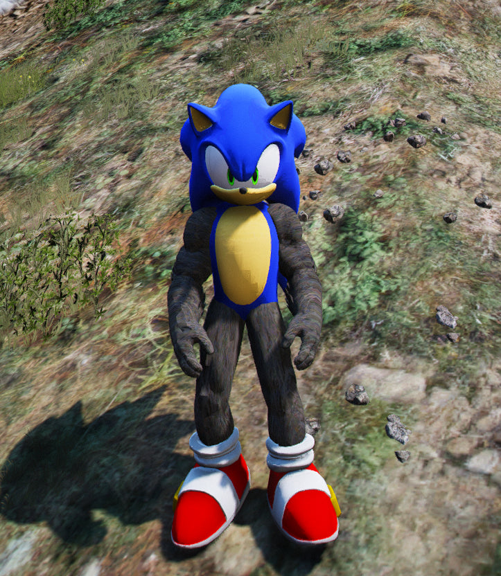 Sonic Kong 2