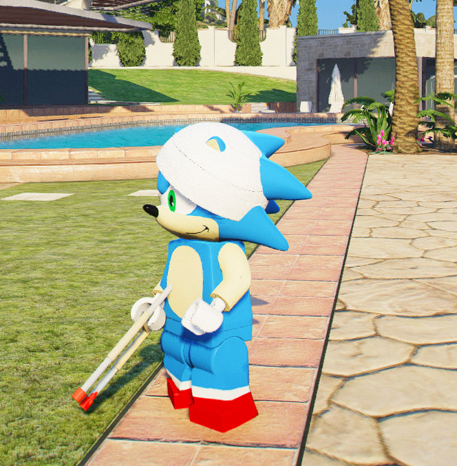 Sonic Lego 2