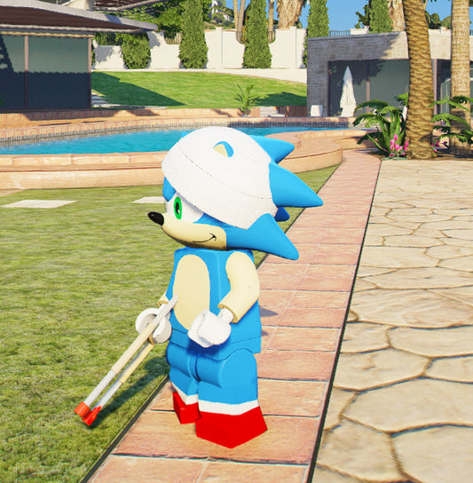 Sonic Lego 2
