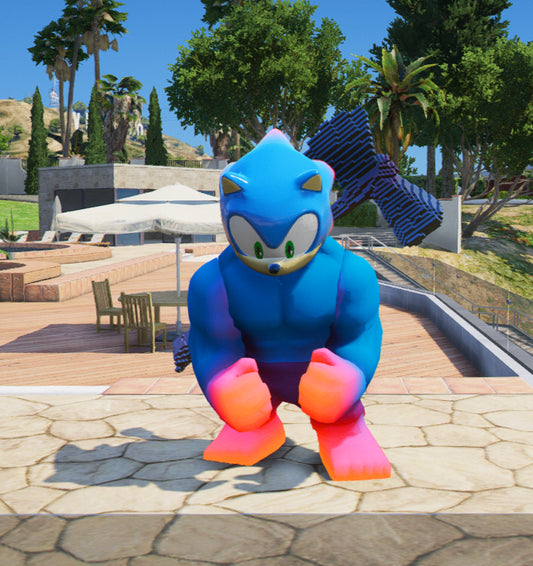 Sonic Lego 6