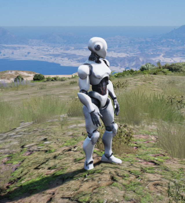 Robot Ia