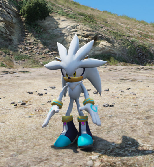 Sonic Silver
