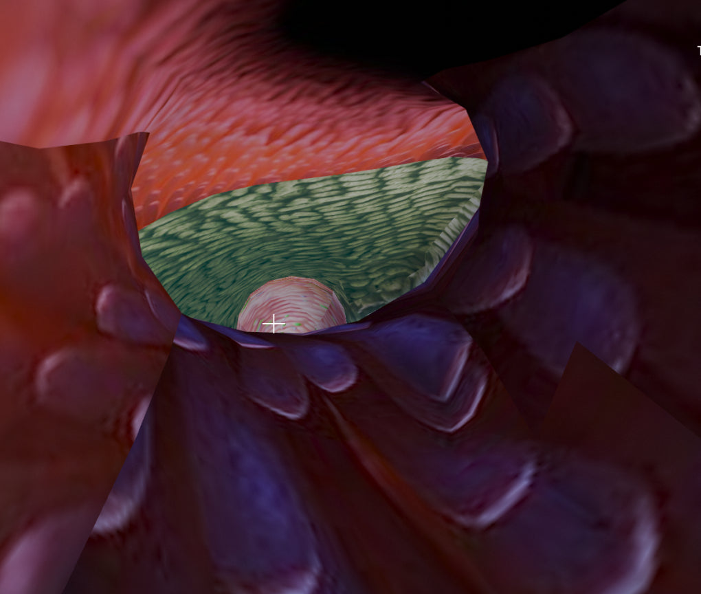 Inside of Megalodon